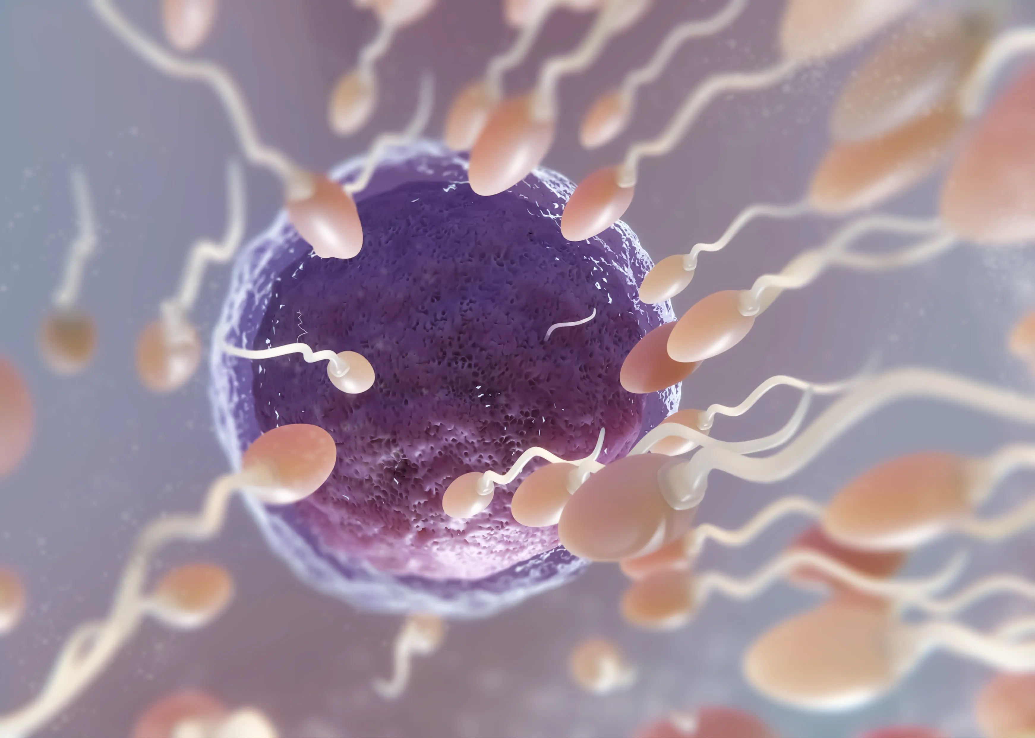 Male Infertility